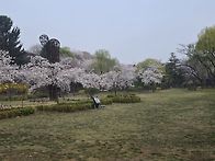 2026년4월3일용산가족공원
