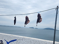 무녀도 낙시