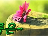 오늘이란~