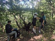 산행