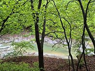 5.10 토 산소길과 생태숲 ..