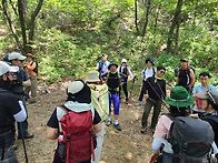 수락산..6/3 수요일 김창..