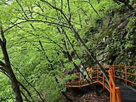 5.10 토 공작산&산소길과 ..
