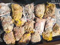 7/9(수)삼천포 돌문어 조..