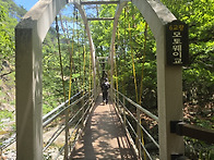 울진 응봉산