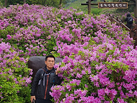 장수 봉화산 철쭉 산행(2..