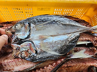 [판매중] 가격 좋네요!!..