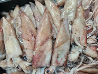 [판매종료] 오늘 발송!!..