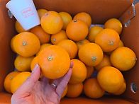 [ 주말 특가 ] ..