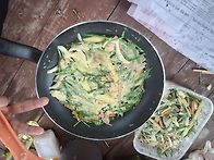 B조사진