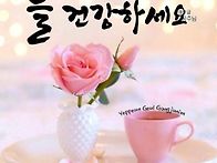 당뇨에 좋은 약초&버섯,