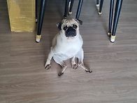 조용하네~~2