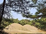 경주남산