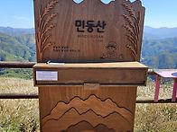 민둥산 억새