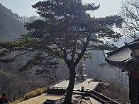 2026.2.15일 봉화 청량산