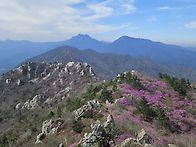 덕룡.주작산
