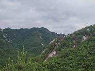 단양올산