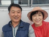 금당도