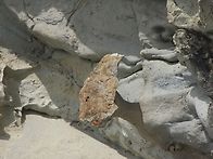 금당도 사진 - 6