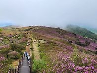 황매산