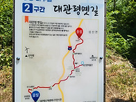 대관령 제왕산 숲길산행