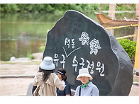 유구천 수국축제(2)