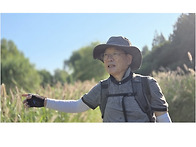 양재천