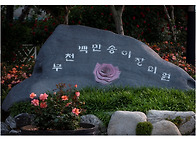 부천 백만송이 장미원