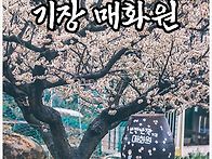 기장 매화원