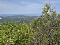 대운산