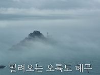 경주 불국사 겹벚꽃