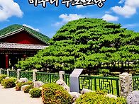 청도 운문사