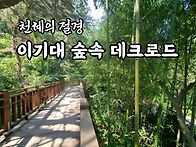 이기대 숲속 데크로드