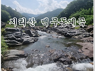 지리산 백무동계곡