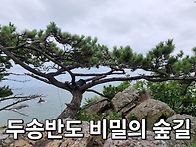 두송반도 비밀의 숲길
