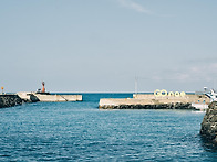 03월18일 제주올레길 15-A코스 봄바람 맞으..