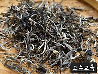 [ 첫 분양 ] 26년 첫물 ..
