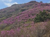 여수 영취산2 (4.5)