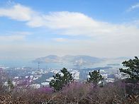 여수영취산 진달래 꽃구경