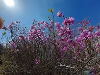 여수 영취산1 (4.5)