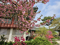 운무속의 모악산