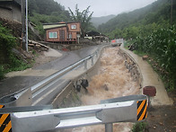 산약초 나올만한 비량 (비 피해 없으시길)..