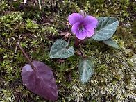 삼의악에서 만나는..