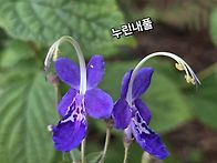 8주차ㅡ번개산책으..
