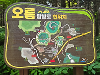 13주차 오름의 보..