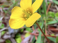 올레길, 바닷가에..