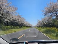 사람은 서울로 &..