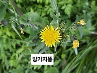 8주차 수업 후기-..