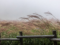 민둥산
