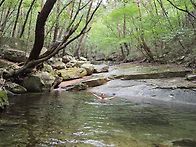 819차 충주포암산